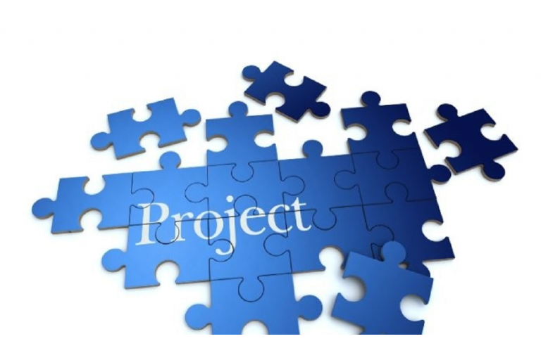 Project (50%)