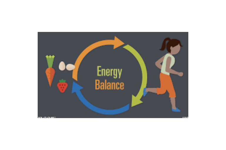 Lesson 2.6 - Energy Balance