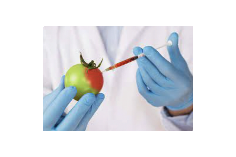 Lesson 4.1- Food Science + GMO