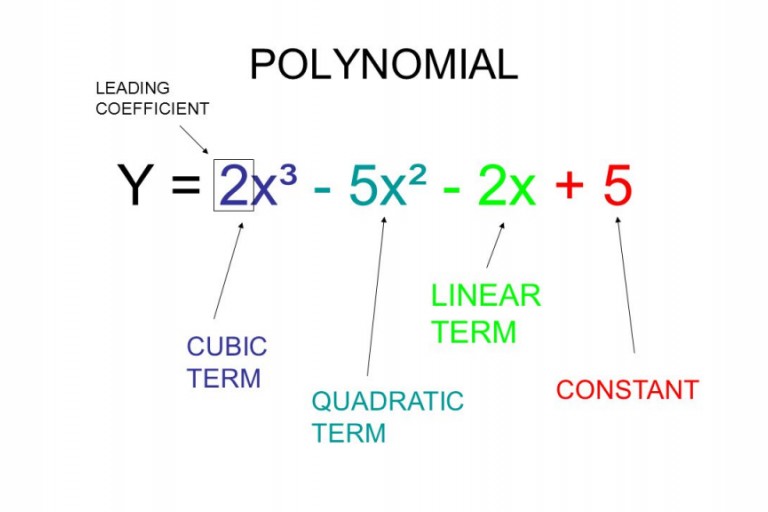 Lesson 2.1 - Polynomial Functions