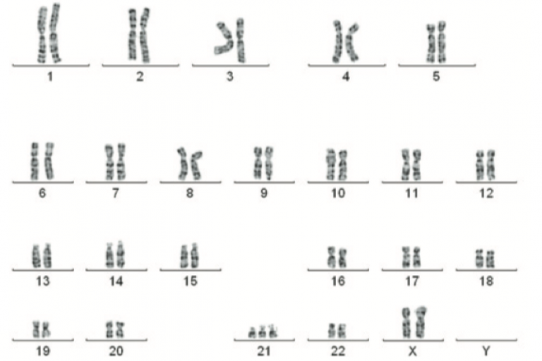 Lesson 2.3 - Abnormal Meiosis &amp; cytoplasmic inheritance