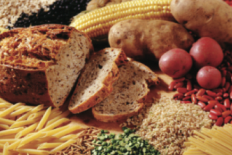 Lesson 4.1 - Why, What and How much we need to eat