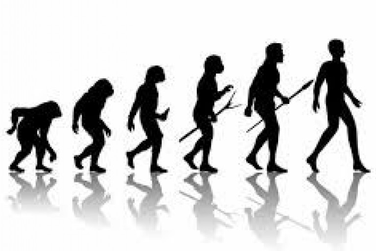 Lesson 3.4 - Macroevolution and Human Evolution