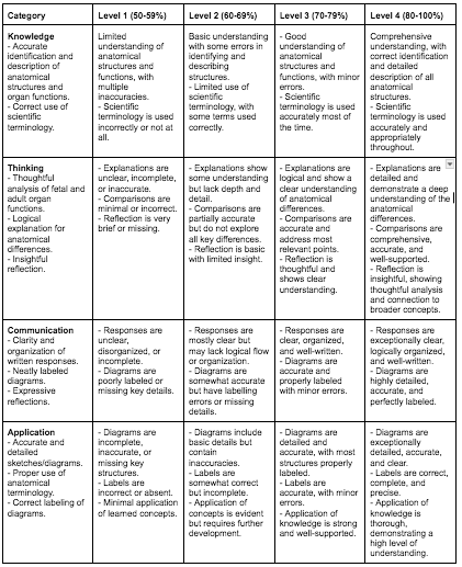 Assignment 6 rubric