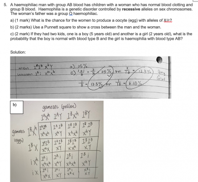 Screen Shot 2021-07-30 at 1.38.14 PM.png