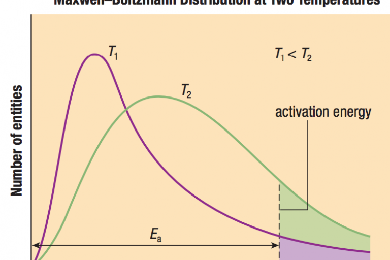 Lesson 2.5 - Collision Theory and Rate Law