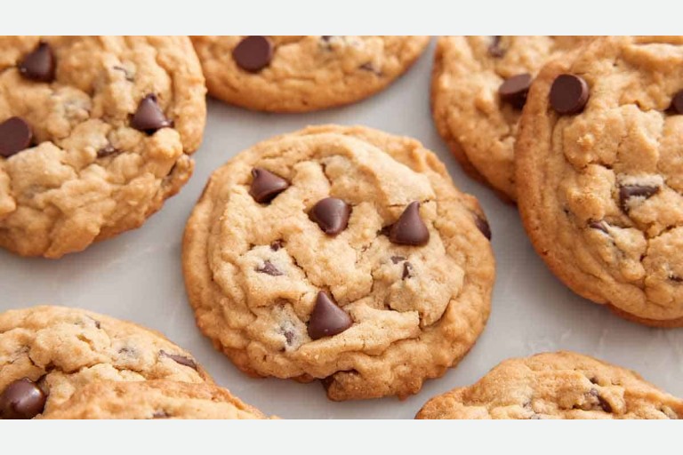 Lesson 2.1 -The Features of Informational Texts 