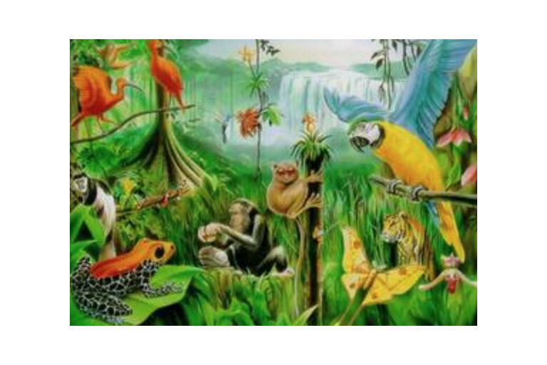 Lesson 1.1 - Biodiversity
