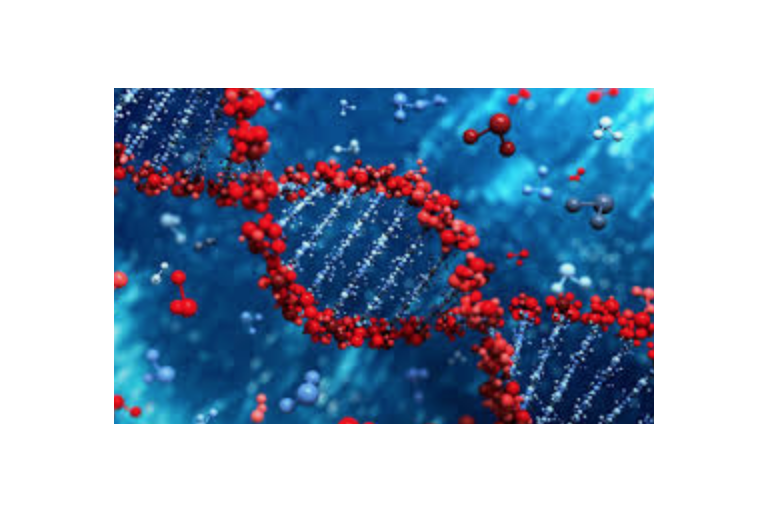 Unit 2 - Genetic Processes (27 hours)
