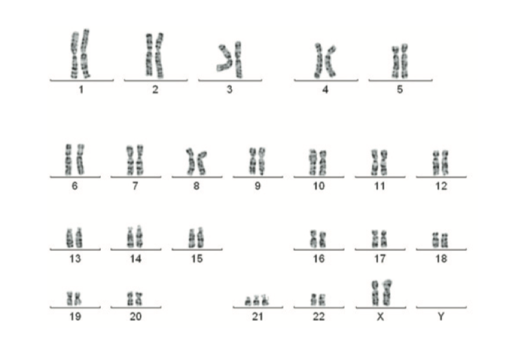 Lesson 2.3 - Abnormal Meiosis &amp; cytoplasmic inheritance