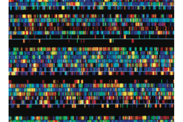Lesson 2.8 - Manipulating the Genome