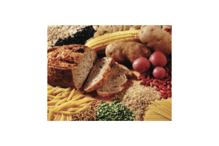 Lesson 4.1 - Why, What and How much we need to eat