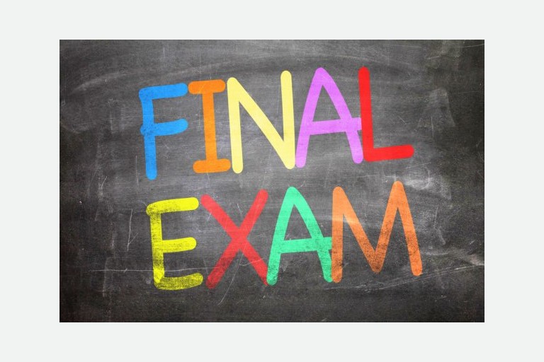 Final Evaluation (30%)