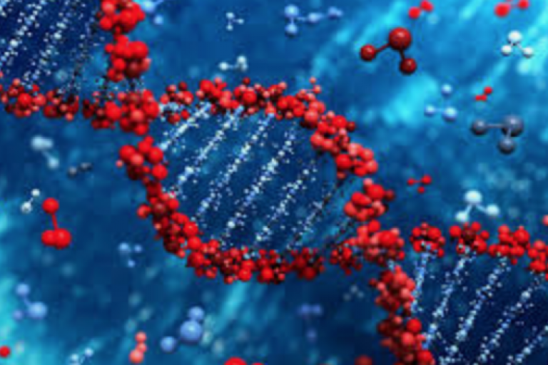 Unit 2 - Genetic Processes (27 hours)