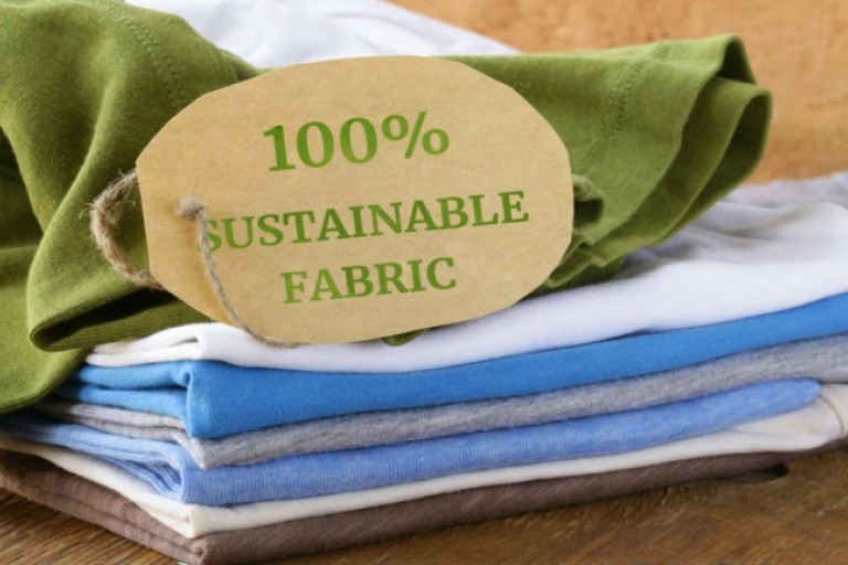 Lesson 9 The Environmental and Sustainability