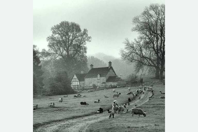 Lesson 6.2 - Cinematography for Video and Film