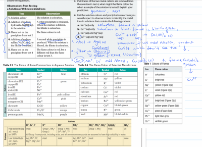 Screen Shot 2022-08-18 at 9.01.48 AM.png