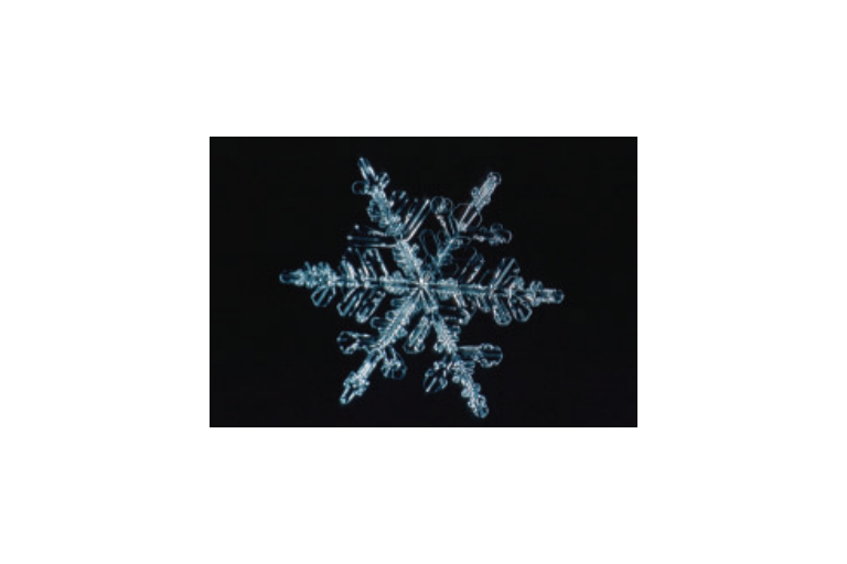 Unit 2 - Organic Chemistry