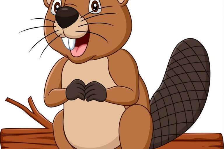 Lesson 8 Canadian Symbols