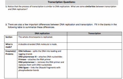 Screenshot 2025-04-08 at 11.42.15 AM.png