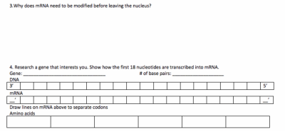 Screenshot 2025-04-08 at 11.42.23 AM.png