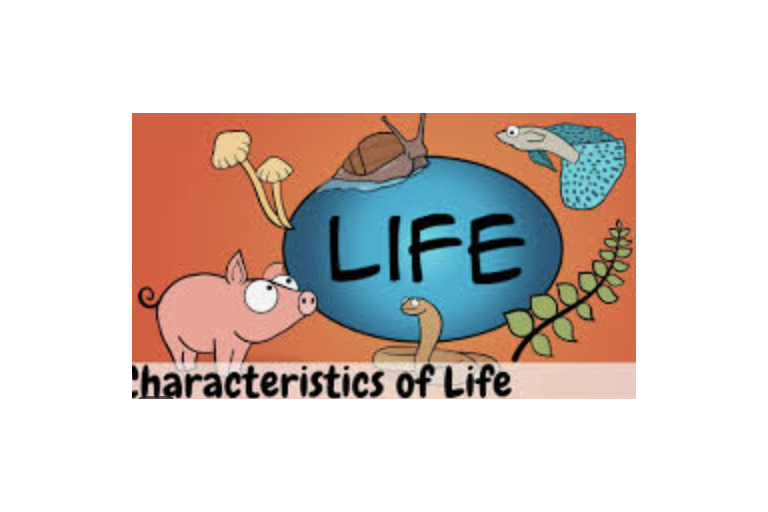 Lesson 1.1- Characteristics of Life
