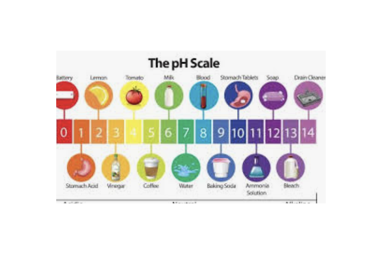 Lesson 2.6: Acid and Base