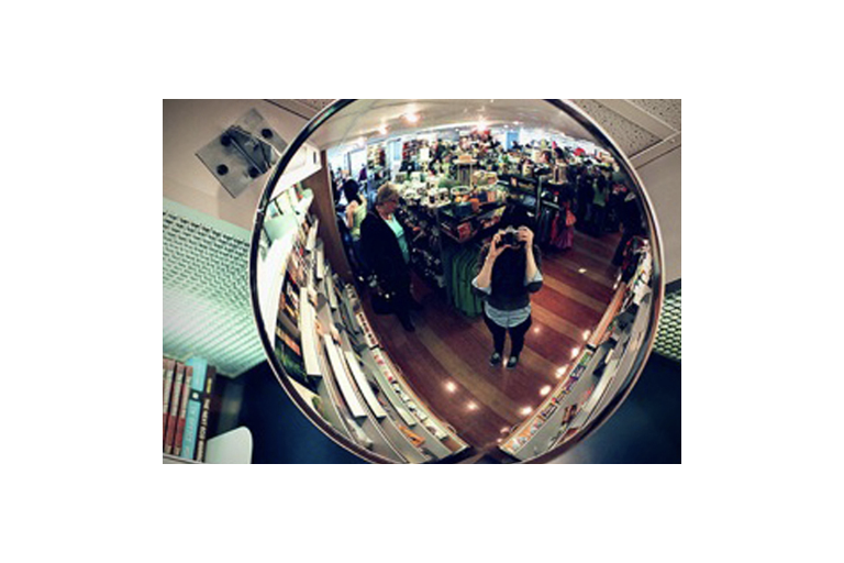 Lesson 3.3: Reflection (Curved Mirror)